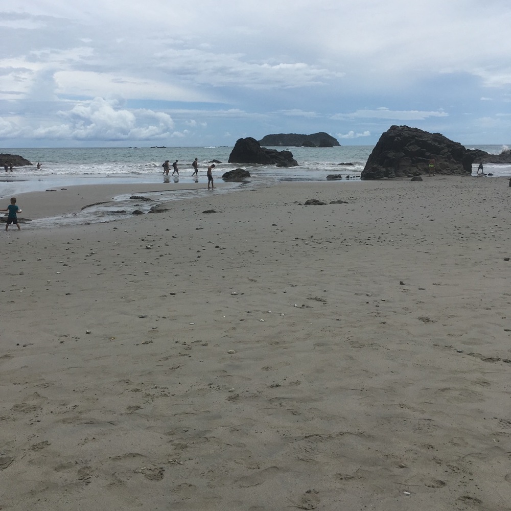 Meet your Posher, Jenylee